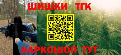 стаф Можга