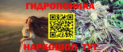 метадон Нарткала