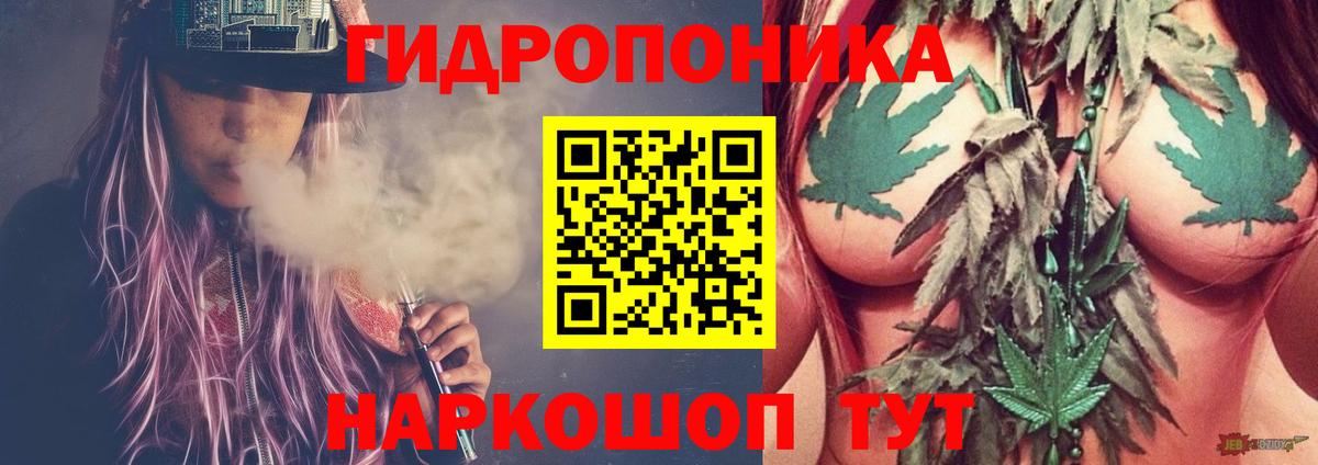 Шишки марихуана сатива  МАРИХУАНА тримм  Советская Гавань  Вход с VPN  Канабис планчик 